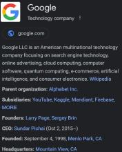 Google Company Info